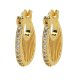 Brass Zircon Earrings