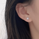 S999 New Rose High-grade Summer Minority Simple Earrings